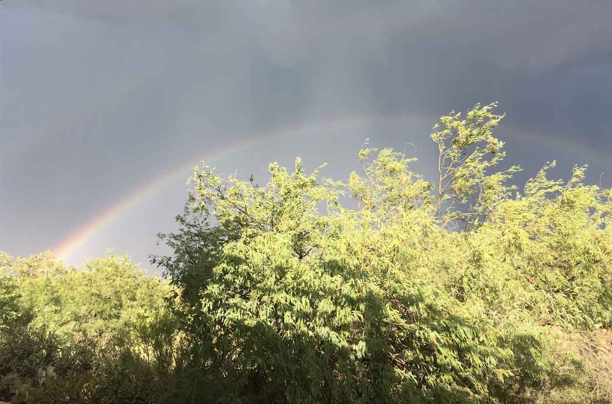Wind-rain-hail-rainbows