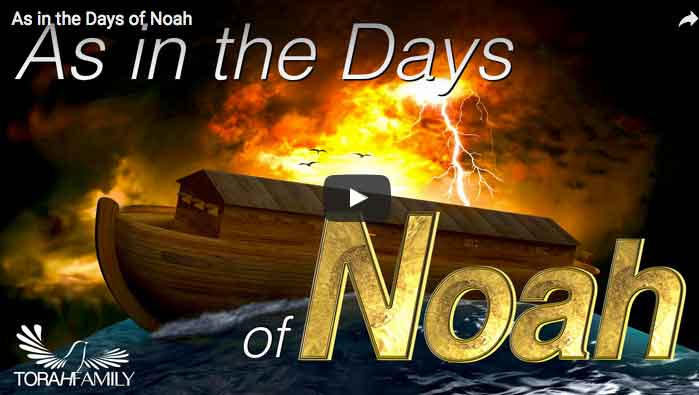 as-in-the-days-of-Noah