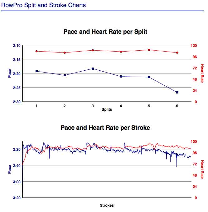 AD-Feb-8th-6K-training-gph