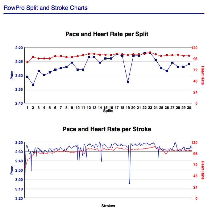 AI-Feb-17th-3K-supplement-gph