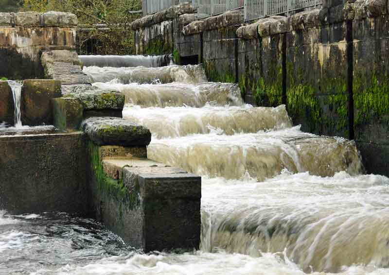 water-steps
