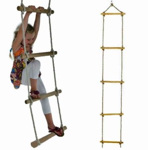 another-rung-up-the-ladder