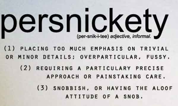 persnickety-definition