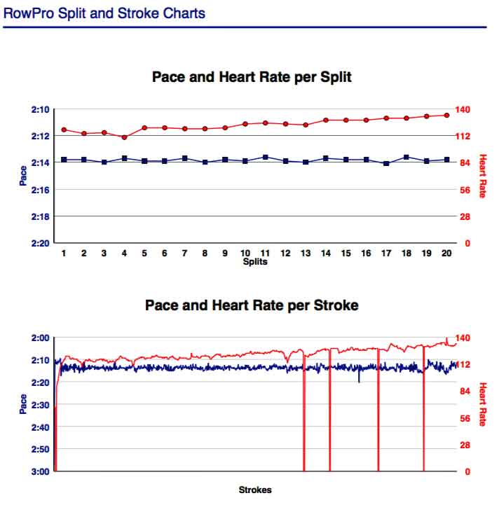 AD-Feb-8th-2018--10K-Target-146-Watts-rp-gph